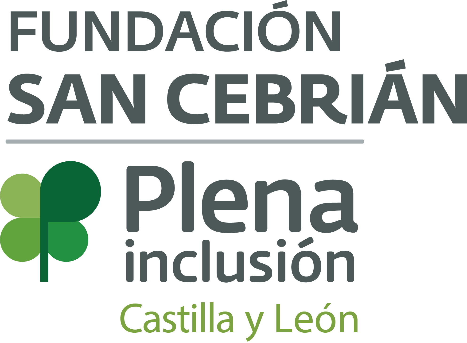 Fundación San Cebrián - Plena Inclusión